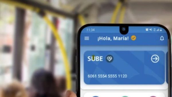 Mi SUBE y Asociarlo a MI ANSES