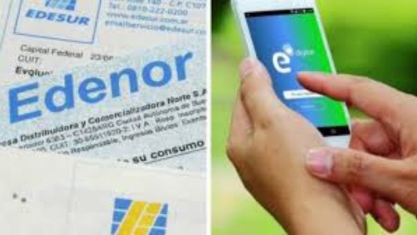 edenor_factura